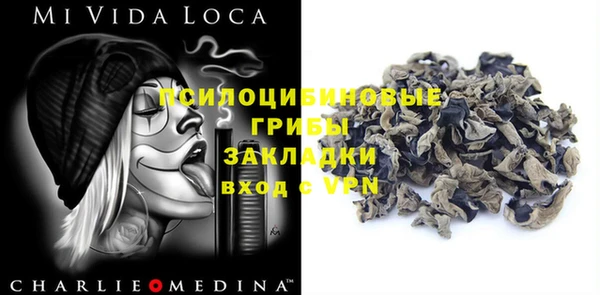 хмурый Михайлов