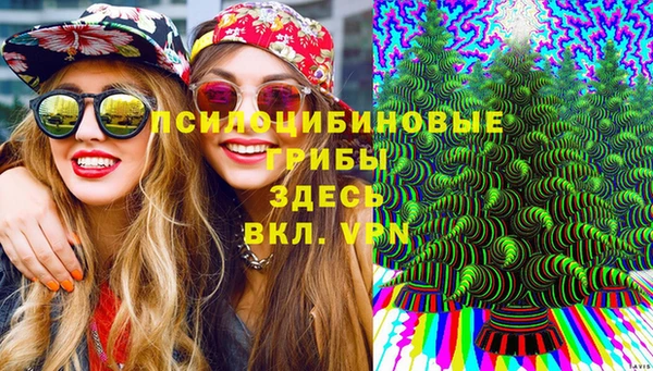 хмурый Михайлов