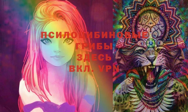 хмурый Михайлов