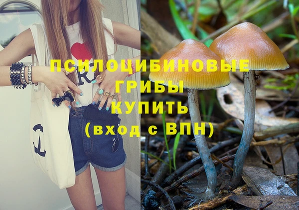 mix Мегион
