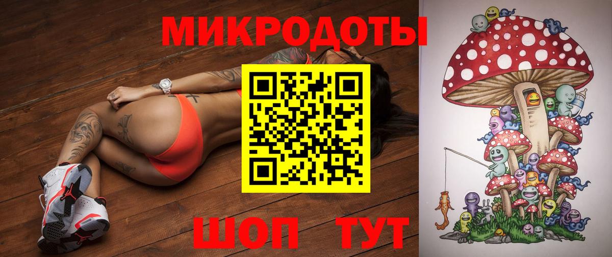 что такое наркотик  Норильск  Псилоцибиновые грибы Psilocybe 